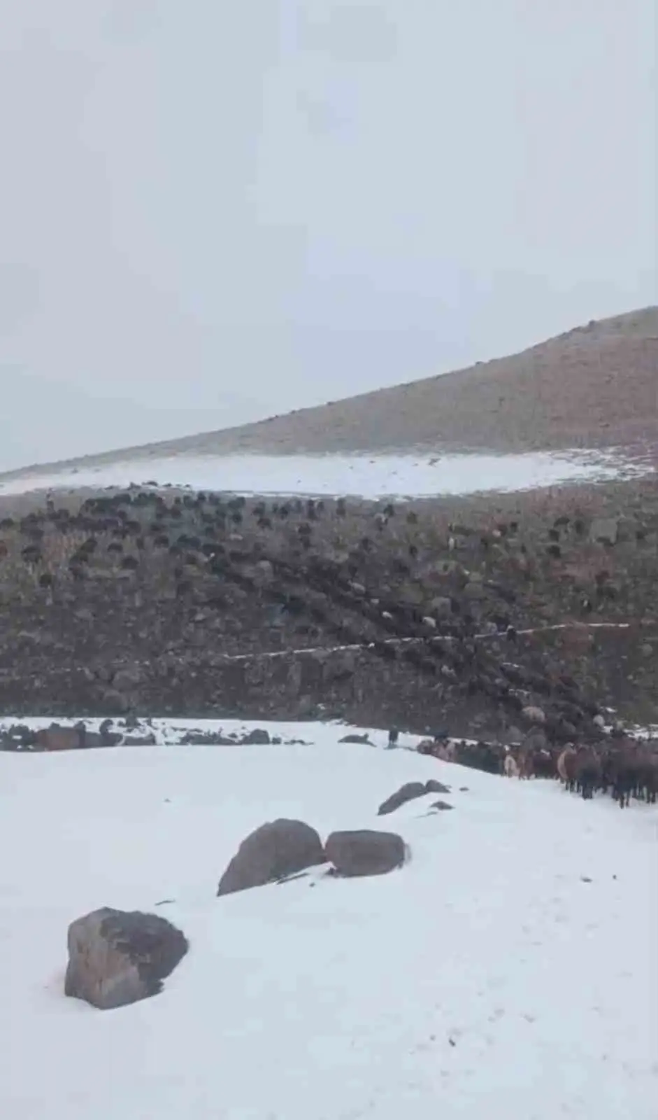 Ağrı’da kar ve tipi hayatı durdurdu