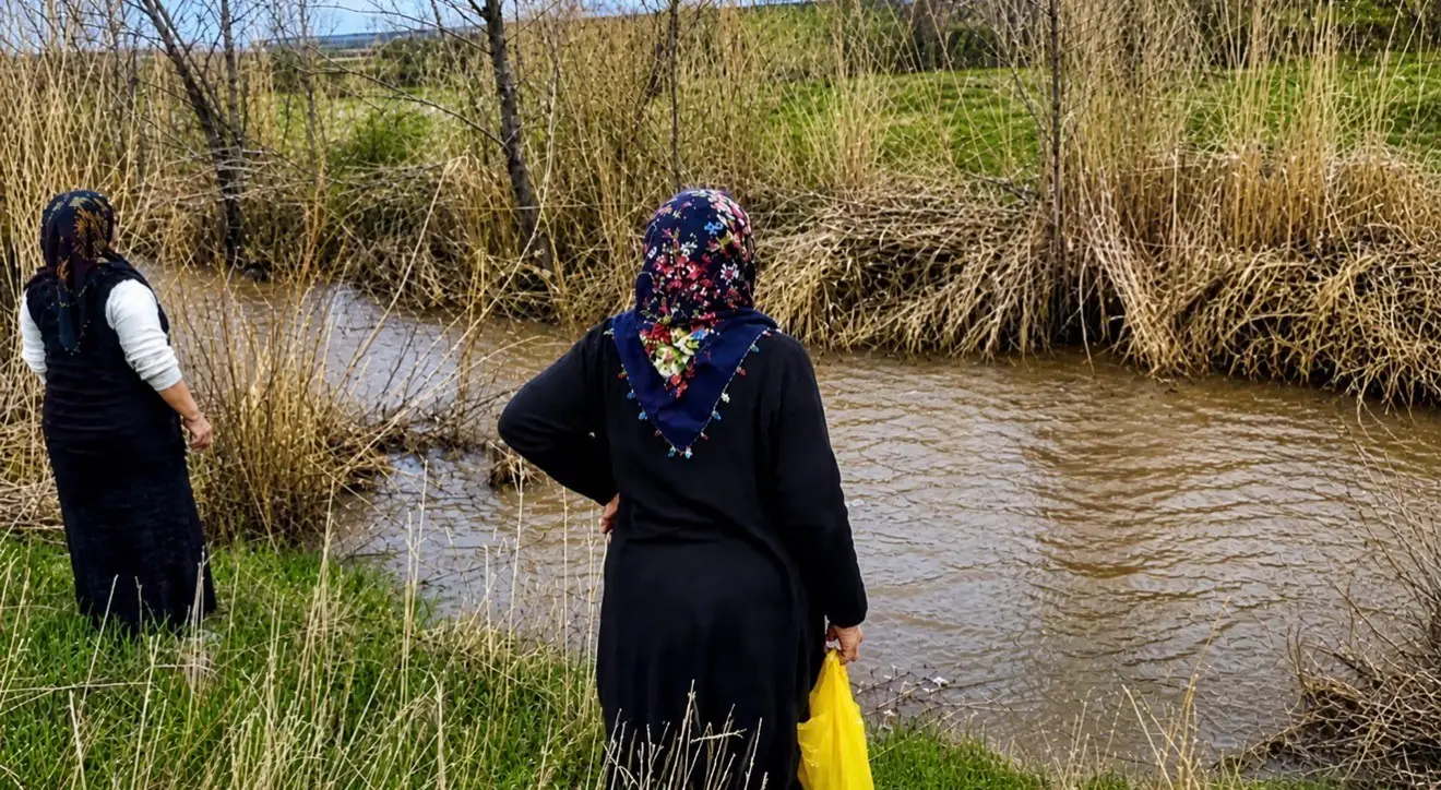 Ağrı’da kadınlar bahar otlarını topluyor 