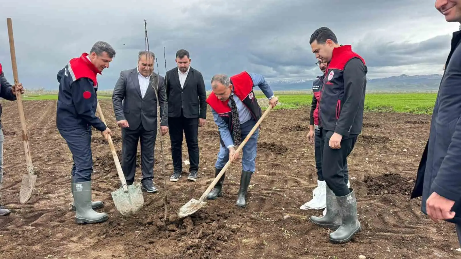 Ağrı’da 2 bin 500 çiftçiye 50 bin meyve fidanı dağıtıldı